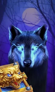 Book Of The Night Wolf
